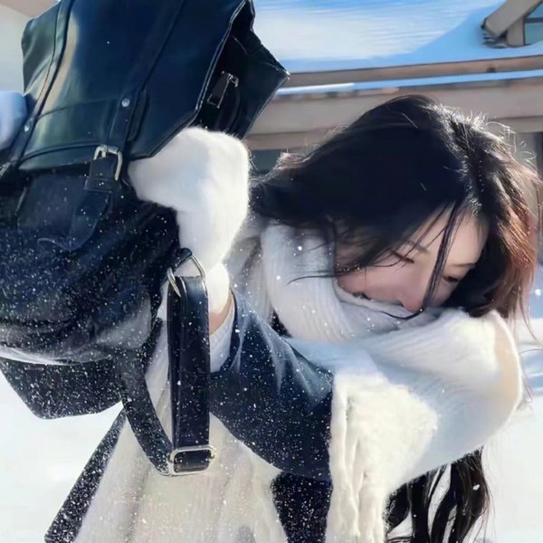 翅膀下的风